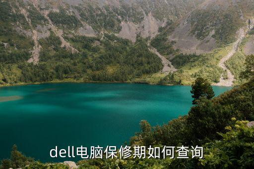 dell电脑保修期如何查询