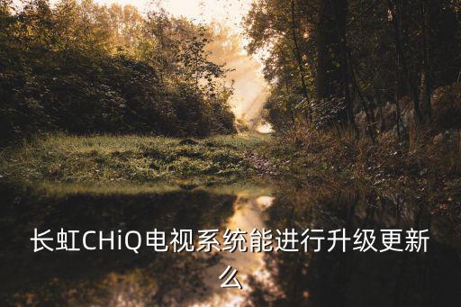 长虹CHiQ电视系统能进行升级更新么