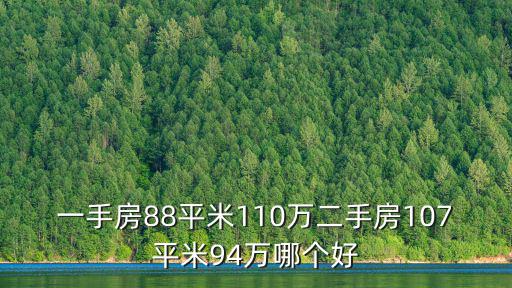 北蔡二手房，一手房88平米110万二手