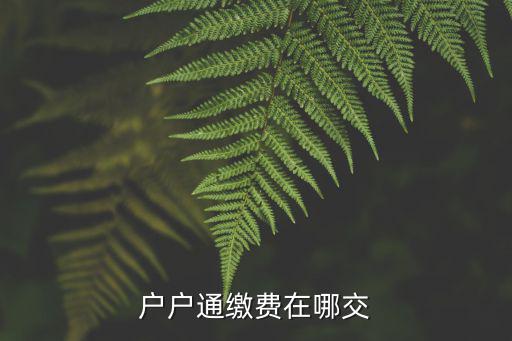 户户通缴费在哪交