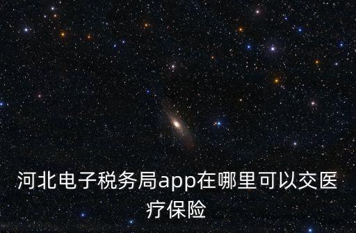 河北税务缴纳城乡医疗，河北电子税务