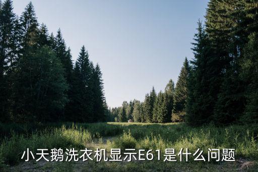 小天鹅出现e61怎么回事，小天鹅洗衣