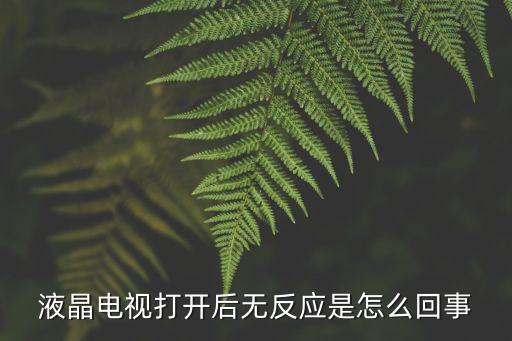 液晶电视打开后无反应是怎么回事