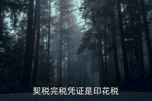 契税完税凭证是印花税