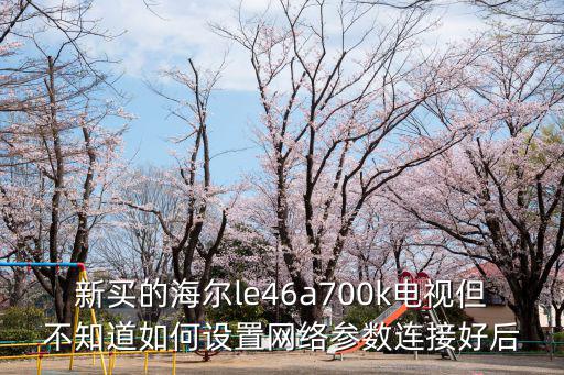 新买的海尔le46a700k电视但不知道如何设置网络参数连接好后