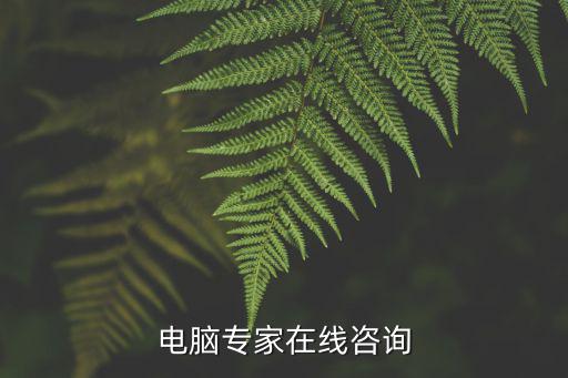 电脑专家在线咨询