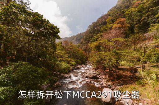 怎样拆开松下MCCA291吸尘器