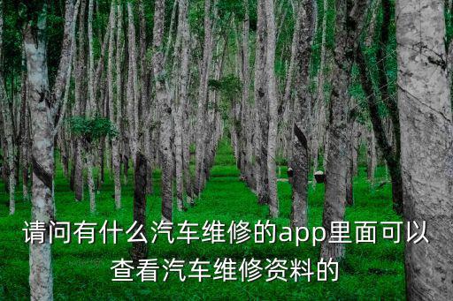 请问有什么汽车维修的app里面可以查看汽车维修资料的