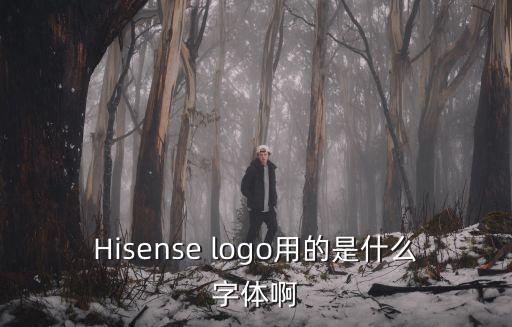 Hisense logo用的是什么字体啊