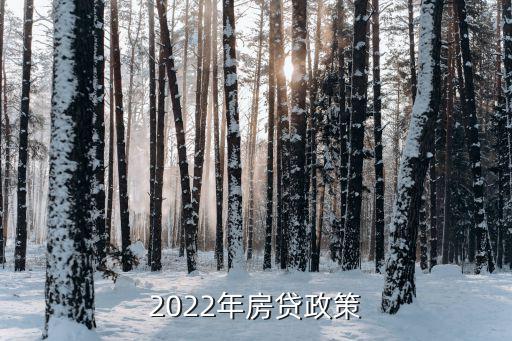 2022年房贷政策