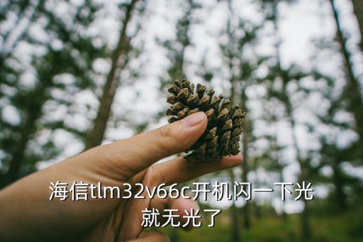 海信tlm32v66c开机闪一下光就无光了