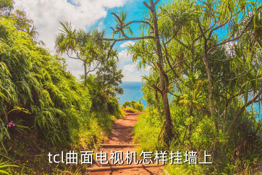 tcl曲面电视机怎样挂墙上