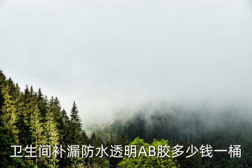 卫生间补漏防水透明AB胶多少钱一桶