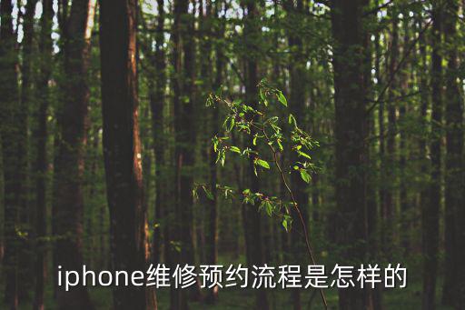 iphone维修预约流程是怎样的