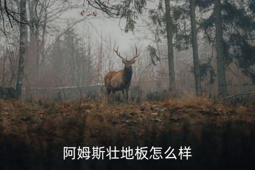 阿姆斯壮地板怎么样