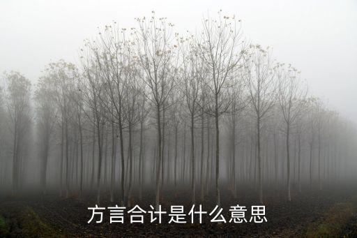 合计是什么意思,公务员养老保险开