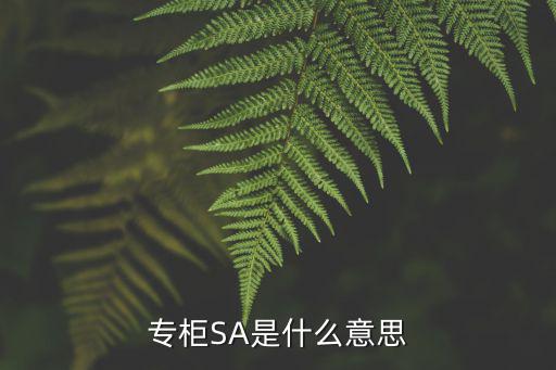 专柜SA是什么意思