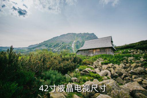 42寸液晶电视尺寸