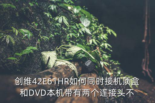 创维42E61HR如何同时接机顶盒和DVD本机带有两个连接头不