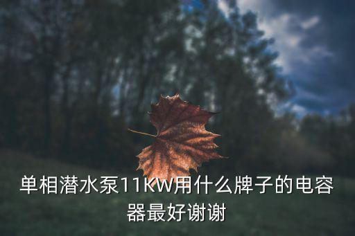 单相潜水泵11KW用什么牌子的电容器最好谢谢