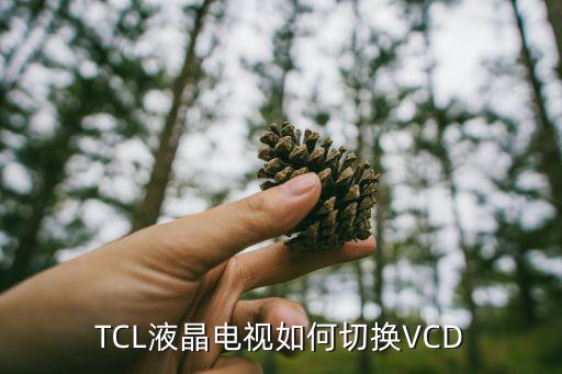 TCL液晶电视如何切换VCD