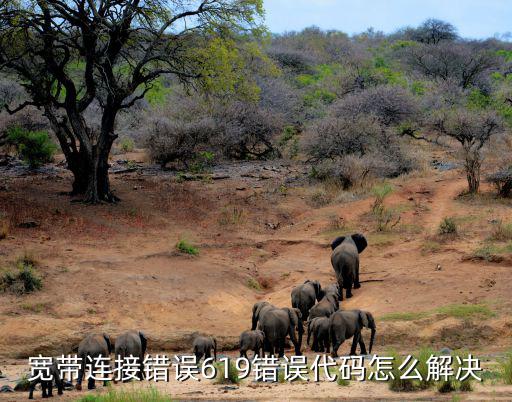 宽带连接错误619错误代码怎么解决