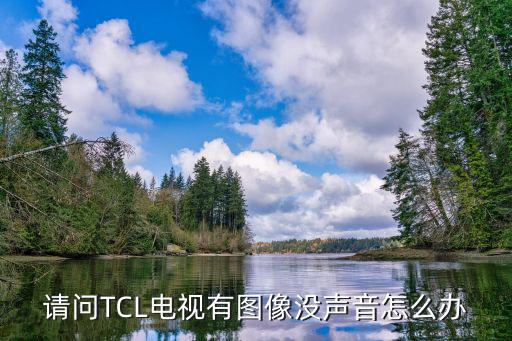 tcl电视木有声音怎么办，请问TCL电视