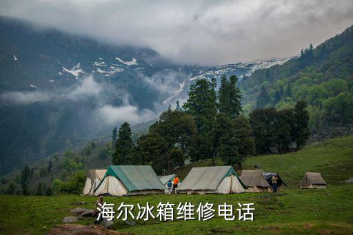 附近的冰箱维修点电话，海尔冰箱维修