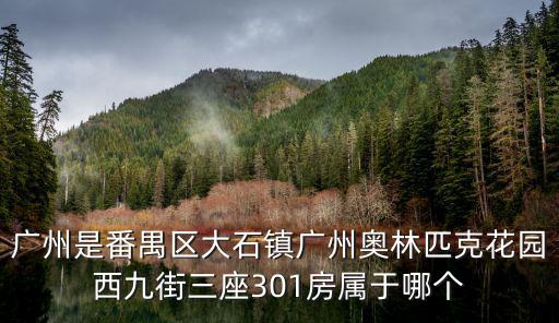 广州是番禺区大石镇广州奥林匹克花园西九街三座301房属于哪个