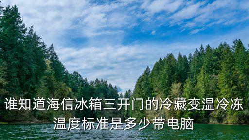 谁知道海信冰箱三开门的冷藏变温冷冻温度标准是多少带电脑