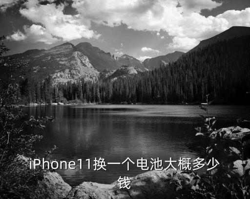 iPhone11换一个电池大概多少钱