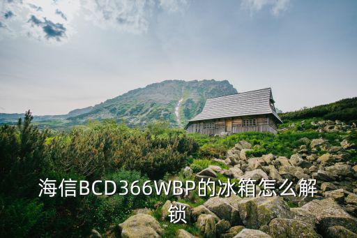 hisense冰箱怎么解锁，海信BCD366WBP