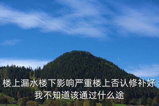 楼上漏水楼下影响严重楼上否认修补好我不知道该通过什么途