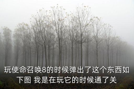 玩使命召唤8的时候弹出了这个东西如下图 我是在玩它的时候通了关