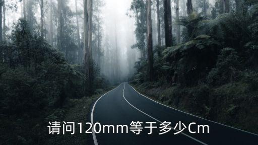 120mm，请问120mm等于多少Cm