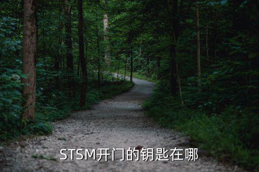 STSM开门的钥匙在哪