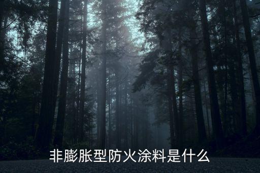 非膨胀型防火涂料是什么