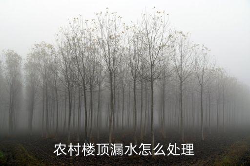 农村楼顶漏水怎么处理