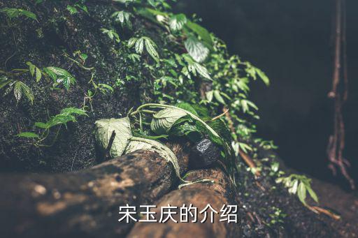 宋玉庆的介绍