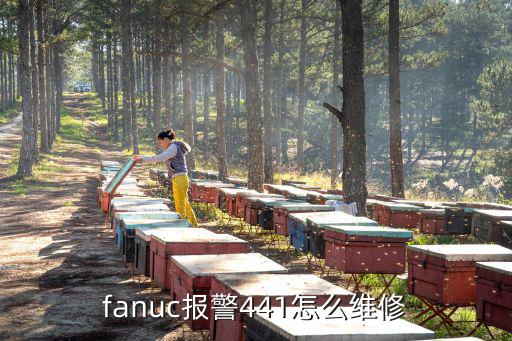 fanuc报警441怎么维修