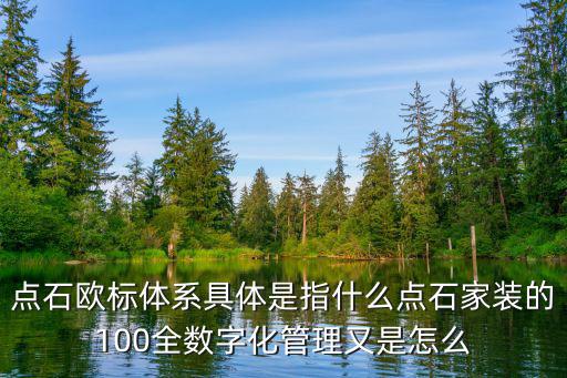 点石欧标体系具体是指什么点石家装的100全数字化管理又是怎么