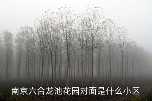 南京六合龙池花园对面是什么小区