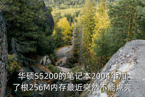 华硕S5200的笔记本2004年加了根256M内存最近突然不能点亮