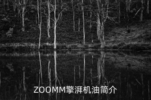 ZOOMM擎湃机油简介