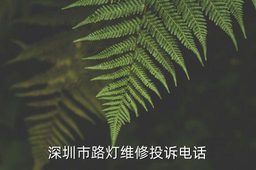 深圳市路灯维修投诉电话