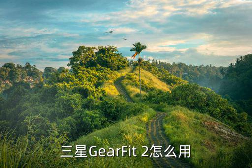 三星GearFit 2怎么用