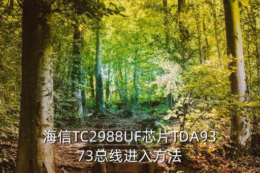 王牌tda9373怎么进总线，海信TC2988U