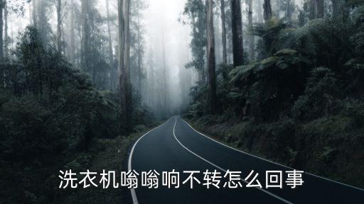 洗衣机嗡嗡响不转怎么回事