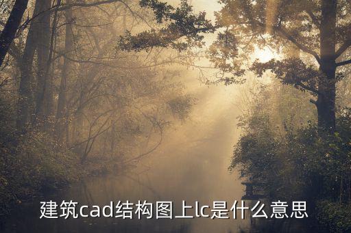 建筑cad结构图上lc是什么意思