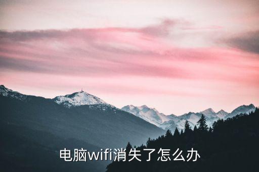 电脑wifi不显示怎么办，电脑wifi消失